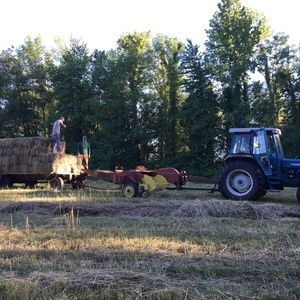 Meet your Posher, Dale